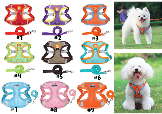 Puppy Dog Harness