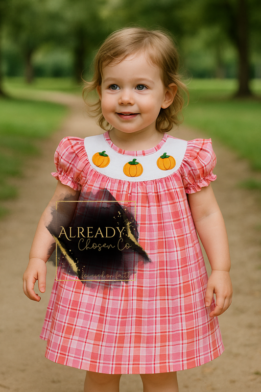 Pink Plaid Smocked Pumpkin Dress